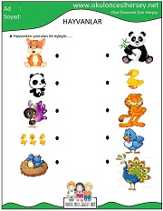 Hayvanlar İle Yavrularını Eşleştir